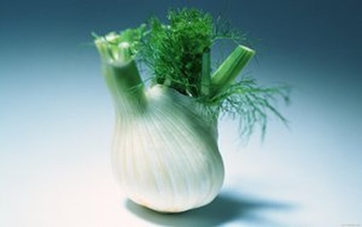 分销网络漫谈：从历史到未来